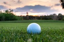Fantasy Golf Tournament Preview- Waste Management Phoenix Open